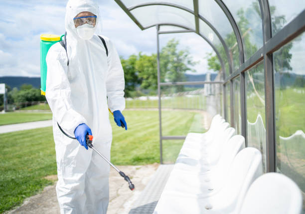 Sporting & General Outdoor Cleaning